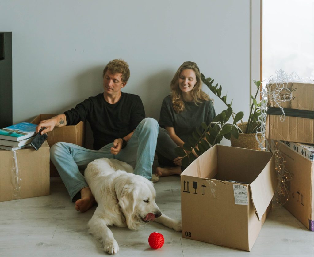 sprzątanie po remontach we Wrocławiu